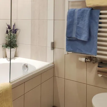 Birgit - Inklusive Eintritt Alpentherme Apartmán Bad Hofgastein