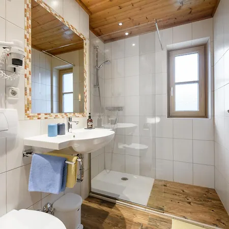 Birgit - Inklusive Eintritt Alpentherme Appartement Bad Hofgastein