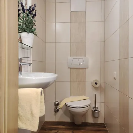 Appartement Birgit - Inklusive Eintritt Alpentherme Bad Hofgastein