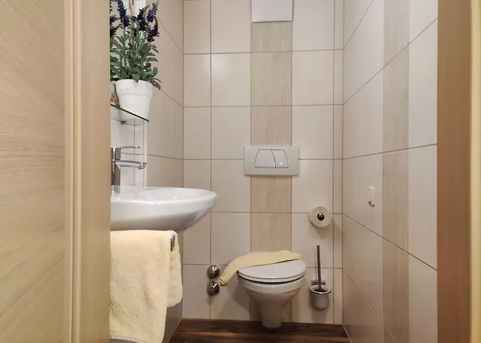 公寓 Birgit - Inklusive Eintritt Alpentherme 巴特霍夫加施泰因